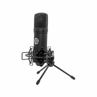 میکروفون Karen Audio M-200