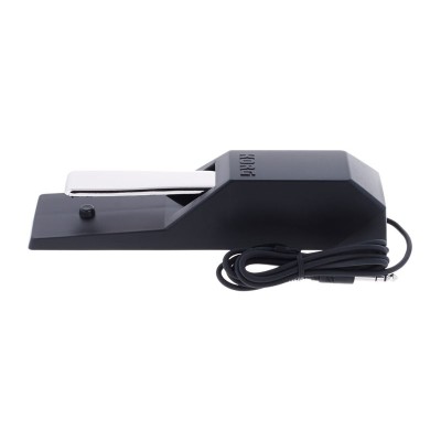 گلویی و لرزه گیر Korg DS-1H