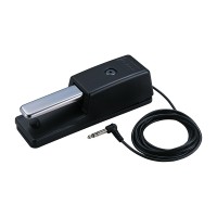 گلویی و لرزه گیر Roland DP-10