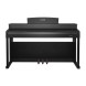 پیانو دیجیتال nurd AP260 Black Digital Piano