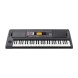 کیبورد ارنجر KORG EK-50 L