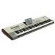 کیبورد ارنجر KORG Pa2X Pro
