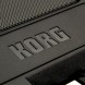 کیبورد ارنجر KORG Pa300