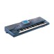 کیبورد ارنجر KORG Pa800