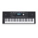 کیبورد ارنجر Roland E-X20
