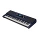 کیبورد ارنجر Roland E-X30