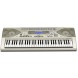 ارگ و کیبورد آموزشی Casio CTK-900