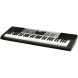 ارگ و کیبورد آموزشی Casio LK-175 Lighted-key