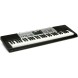 ارگ و کیبورد آموزشی Casio LK-175 Lighted-key
