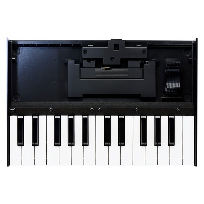 سینتی سایزر Roland K-25m