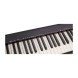 پیانو دیجیتال Casio CDP-S100