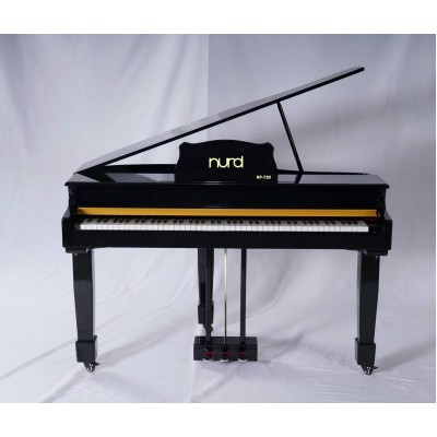 پیانو دیجیتال Nurd RP-720 Digital Piano