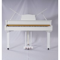 پیانو دیجیتال Nurd RP-820 Digital Piano