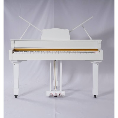 پیانو دیجیتال Nurd RP-820 Digital Piano
