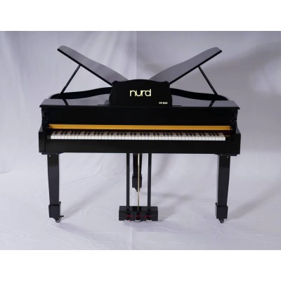 پیانو دیجیتال Nurd RP-820 Digital Piano
