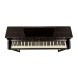 پیانو دیجیتال Roland HP702