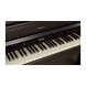 پیانو دیجیتال Roland HP702