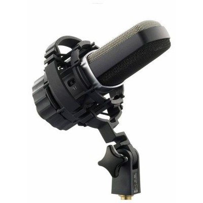 کارت صدا AKG C214