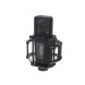 کارت صدا Lewitt LCT 840
