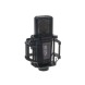 کارت صدا Lewitt LCT 840