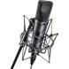 کارت صدا Neumann U89 with EA89