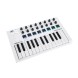 میدی کنترلر Arturia MiniLab MkII