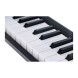 میدی کنترلر KORG MicroKEY2 AIR 25 Bluetooth