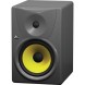 اسپیکر مانیتورینگ Behringer B1031A