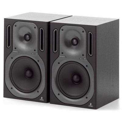 اسپیکر مانیتورینگ Behringer B2031A