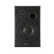 اسپیکر مانیتورینگ Dynaudio BM15A Left Speaker
