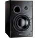 اسپیکر مانیتورینگ Dynaudio BM15A Right Speaker