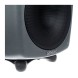 اسپیکر مانیتورینگ Genelec 8350 APM